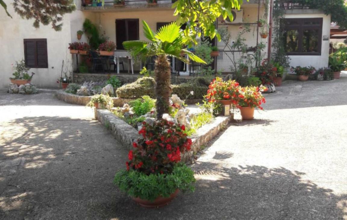 Apartments Nadia Sokolic Nerezine Kültér fotó